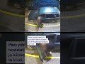 Mehega vesteldes selgus, et tal olid isiklikud probleemid, mille pärast tegi lasud tankla pihta 🧠🔍
