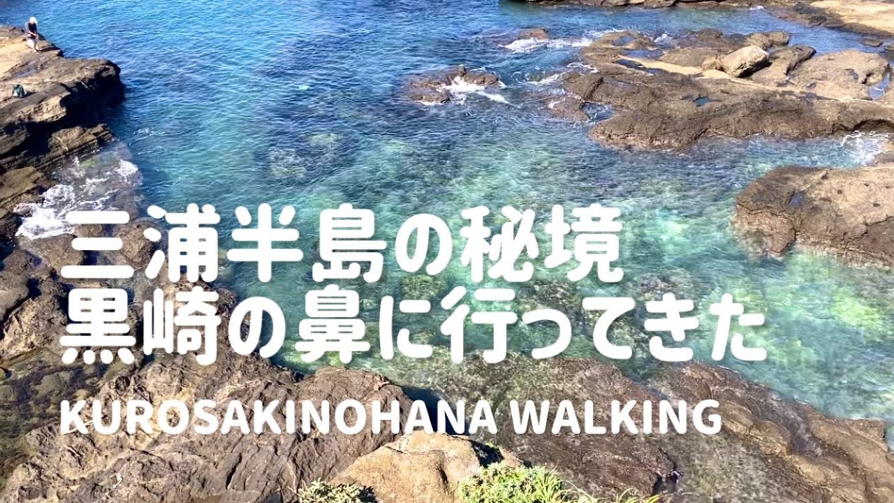 【海辺散歩】三浦半島の秘境 黒崎の鼻〜釣りもできる絶景のキャンプ地〜