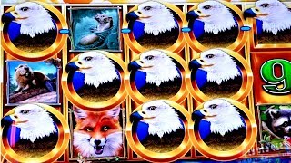 9 WILDS ADDED! HUGE win on Birds of Pay!