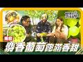 🗺《姆士尋寶去》台灣「麝香葡萄」大公開！甜度、香氣完全不輸進口貨，讓詹姆士和韋汝一顆接一顆停不下來！香甜多汁麝香葡萄變身創意美食，意想不到的搭配等你來嚐鮮！