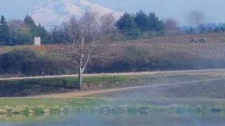 Focus on the Farm Worker: Seasonal Worker