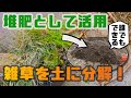 【雑草堆肥化】誰でもできる！雑草を土に分解してみた