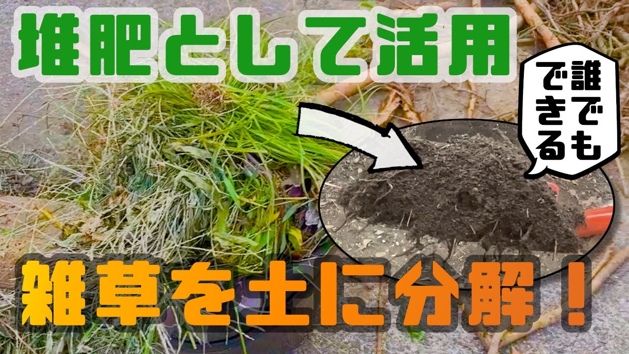 雑草堆肥化 誰でもできる 雑草を土に分解してみた Youtube