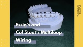 Essig's dan Col Stout's Multiloop Wiring