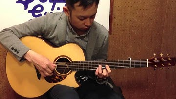 Dolphin Guitars -MICHAEL BASHKIN Bellezza Concert Cutaway