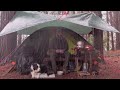 Heavy rain CAMPING in a TENT with bushcraft