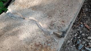 Risse In Der Gartenmauer Flicken, Teil 1