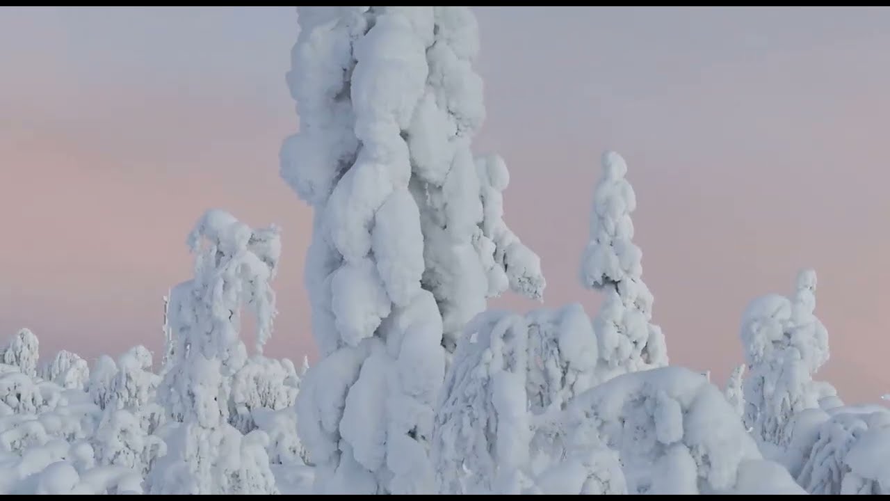 Zhi-Vago - Dreamer, Sold Out - Hey Hoh, 2PAC - Freestyle studio ( rqv9999 )