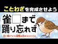 🐦ことわざクイズ🐦穴埋め脳トレ全10問!諺を完成させよう!簡単な問題で高齢者に最適vol17