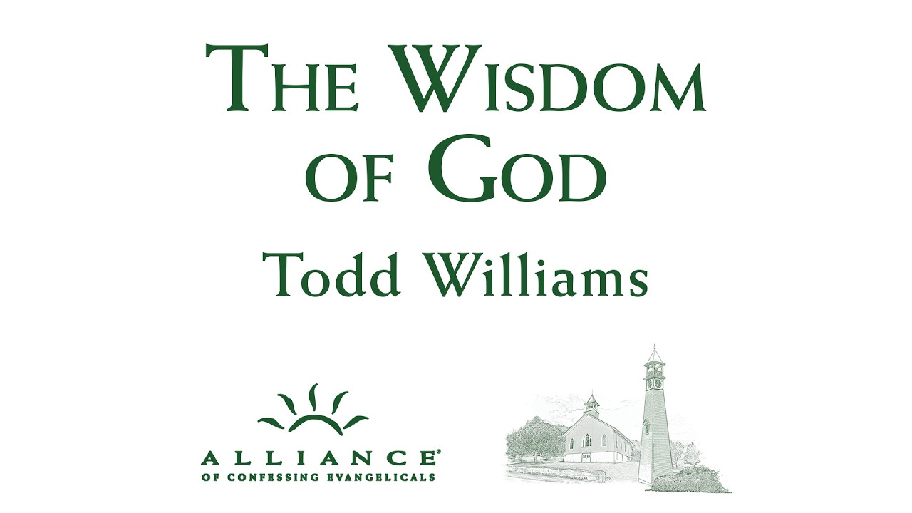 Job Message 3: The Wisdom of God—Todd Williams