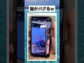 どうやってるんだろ? #shorts #おすすめ #おもしろ#面白い #海外#tiktokvideo #スマホ