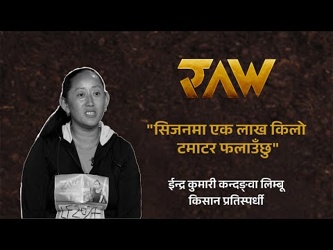 "सिजनमा एक लाख किलो टमाटर फलाउँछु" | Farmer Contestant: Indra Kumari Kandangwa Limbu | RAW
