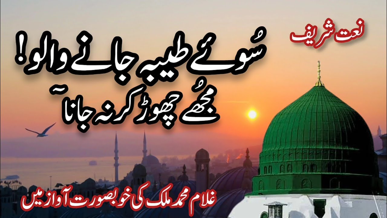 Soye Taiba Jane Walo Mujhe Chor Kar Na Jana | Best Urdu Naat Sharif | Heart Touching Naat | New Naat