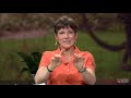 Digging Deeper with Backyard Farmer | Rain Gardens