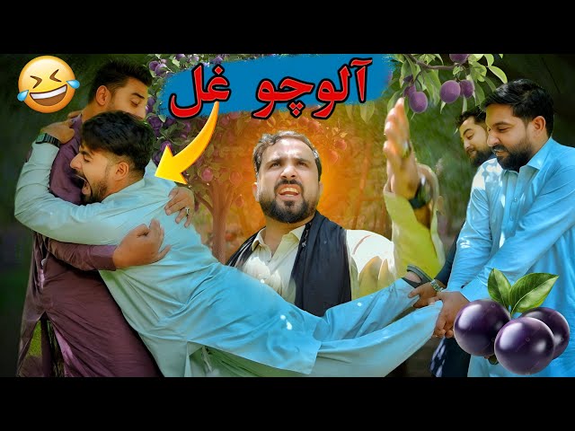 Pashto funny video | Alochu Ghal | Zindabad vines 2026