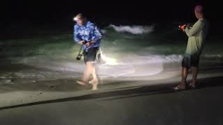 Dude caught a shark, Laguna Beach summer 2021