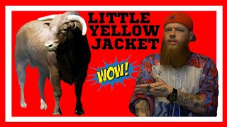 LITTLE YELLOW JACKET - 3 Time Champion || BULL RIDING REACTION