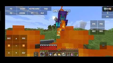 How to join my lifesteal smp in pojavlauncher 1.16.5 only