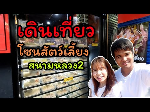 เดินซื้อของ โซนสัตว์เลี้ยง สนามหลวง2