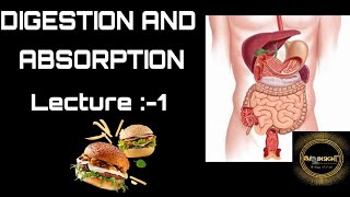 Digestion And Absorption Digestive System Class -Xi Neet
