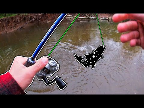 EXTREME Stocked TROUT Fishing in the RAIN 