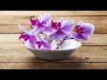 1 HOUR Thai Spa Music For Oriental Massage Sound Of Thailand 