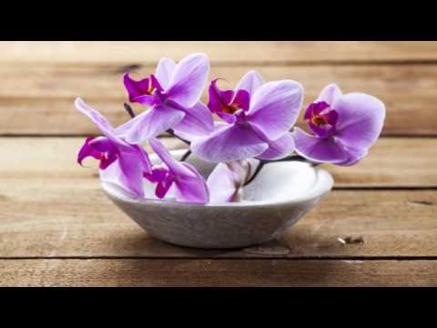 1 HOUR Thai Spa Music For Oriental Massage | Sound Of Thailand