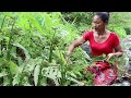 Healthy food Yummy: Find Natural Elephant nose Plant to Cook for Dinner - Food my village Ep 24