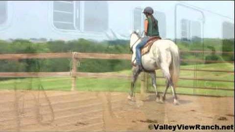 Valley View Ranch - Ms Frosty Principle   ***For info, price, etc., go to our website***