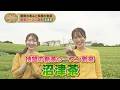 SmileTable~ 新茶シーズン到来「沼津茶」~