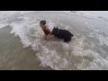 Giant schnauzer looking out for my daughter at dog beach の動画、YouTube動画。