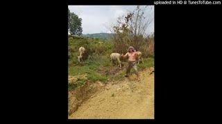 SELAMAT TINGGAL MALAM BY IWAN FALS