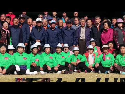 돈지 논배미축제[사진]