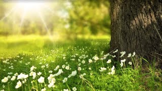 스프링 시큐리티 OAuth 2 라이브 코딩