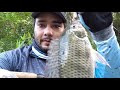 Pesca de tilapia con carnada | Muy efectiva