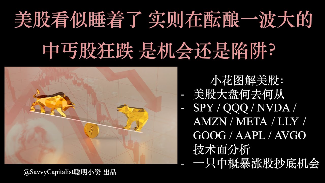 美股看似睡着了 实则在酝酿一波大的! 中丐股狂跌 是机会还是陷阱？ 小花图解美股：SPY / QQQ / NVDA / AMZN / META /  AVGO / AAPL / GOOG / LLY