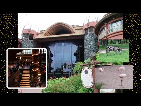 What you need to know about Animal Kingdom Lodge