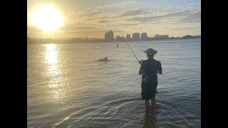 Fishing and Dolphins at the Spit, Gold Coast by bashir k 286 views 4 months ago 5 minutes, 58 seconds