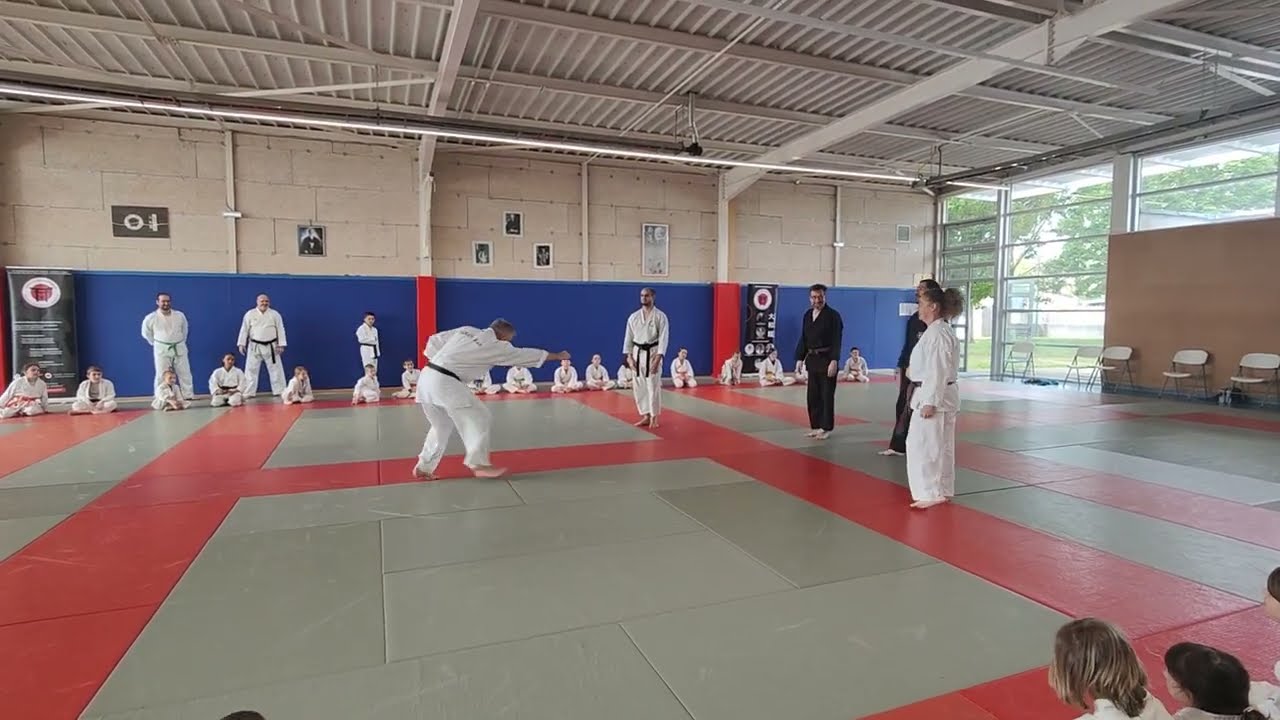 Apprendre à bouger, à se déplacer : Stage Yamato kan karaté-do Shotokai enfants du 5 mai 2024