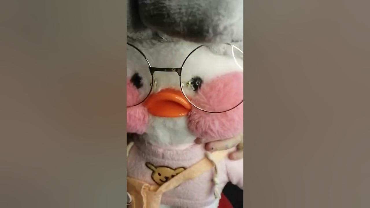 Утка из лайка