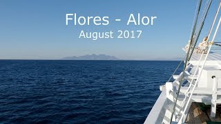 Wonderful Diving In Flores And Alor August 2017 4K-Video
