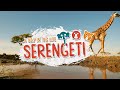 A Day In The Life Of Serengeti Animals Serengeti II BBC Earth Kids