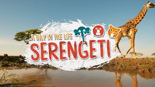A Day In The Life Of Serengeti Animals | Serengeti II | BBC Earth Kids