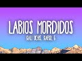 Miniature de la vidéo de la chanson Labios Mordidos