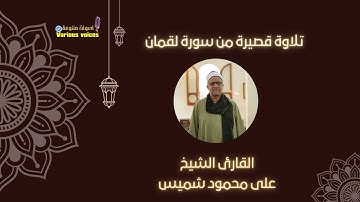 تلاوة قصيرة خاشعة من سورة لقمان القارئ الشيخ على محمود شميس من إذاعة القرآن الكريم #سورة_لقمان
