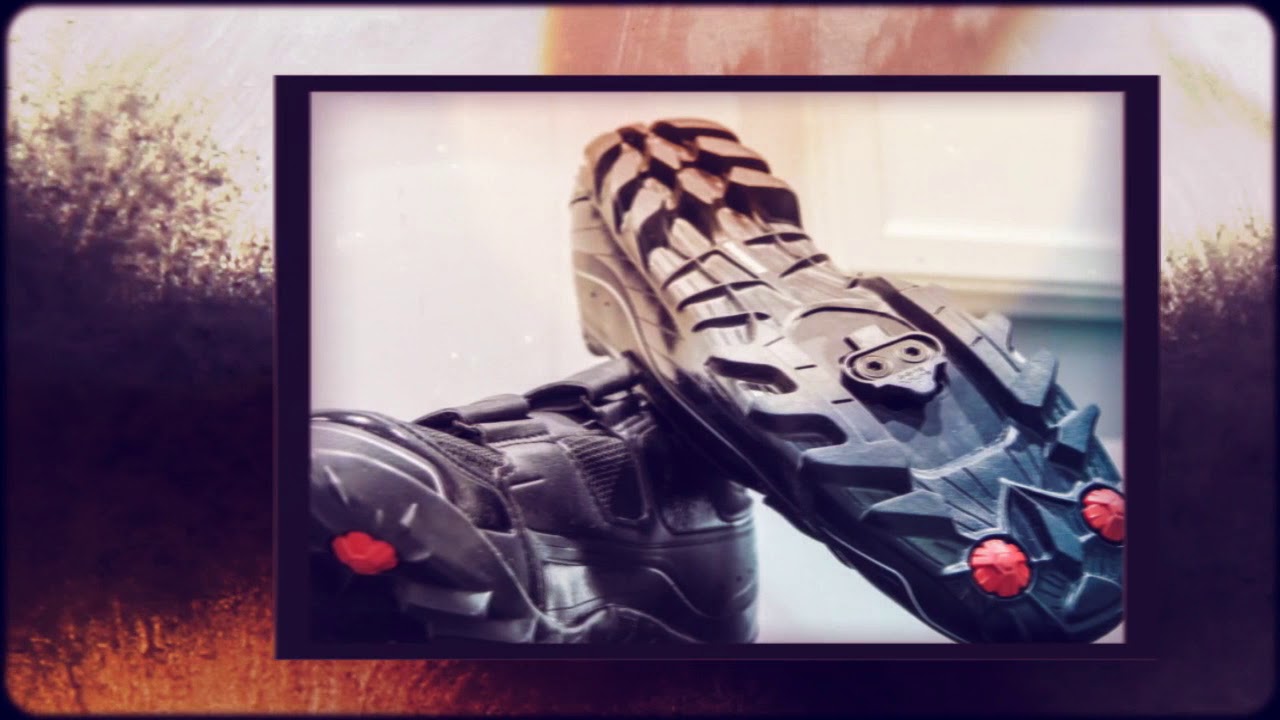 reform cycling and strength studio