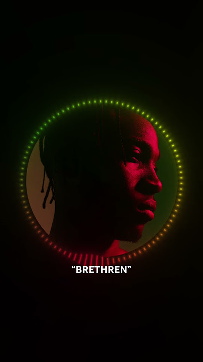 Reggae Roots Type Beat 2023 | Chronixx x Bob Marley Type Beat {BRETHREN}