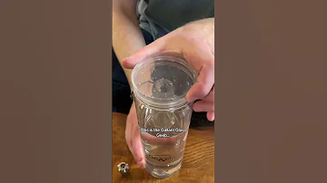 The Glass Geeb By Gallant Gravity 