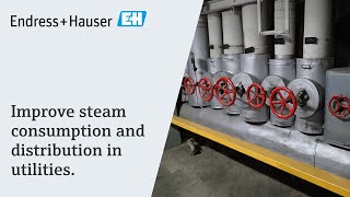 Improve steam consumption and distribution in utilities | #endressenergyefficiency