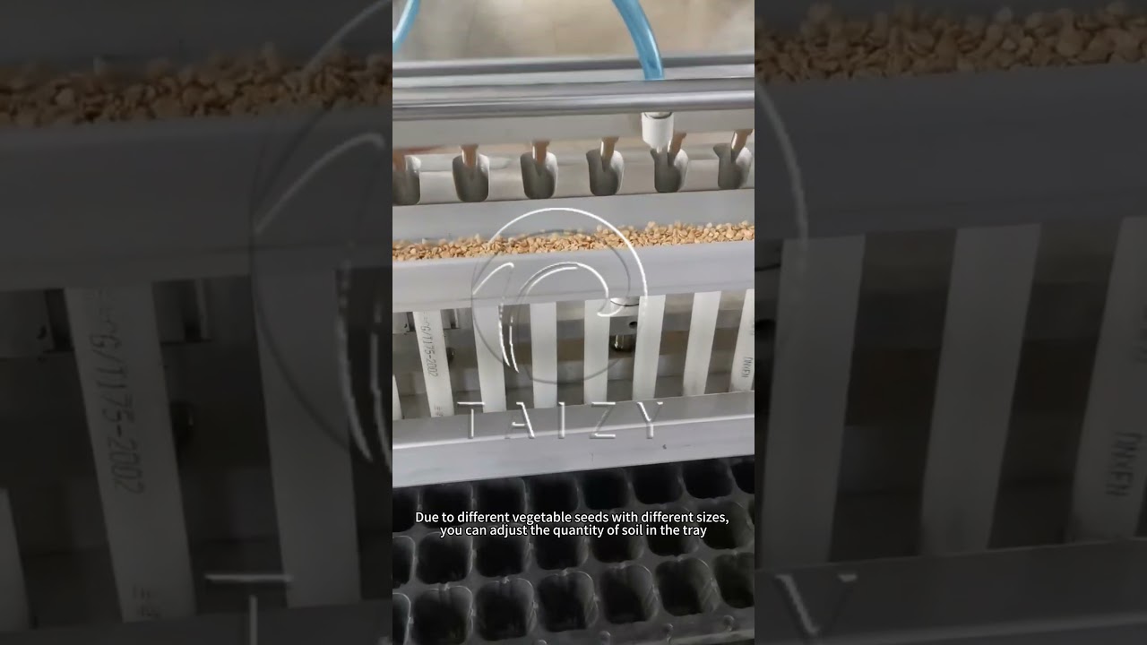 Nursery Seedling Machine | Manual Seedling Machine Price